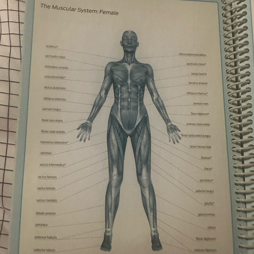 Yellow Workout Journal - Picture 8 of 9